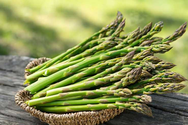 asparagi