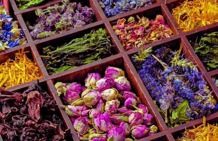 Fiori dentro contenitori